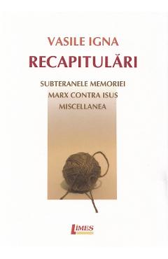 Carte Recapitulari - Vasile Igna editura Vasile Igna