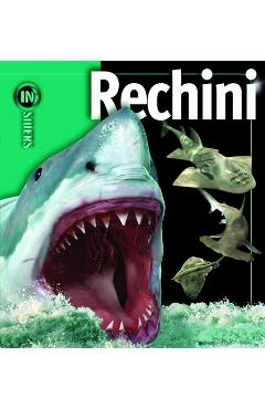 Carte Rechini. Insiders - Beverly McMillan editura John A. Musick