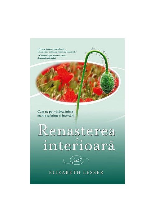 Carte Renasterea interioara editura Adevar Divin