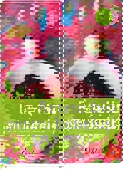 Carte Retete bio pentru bebelusi editura DPH