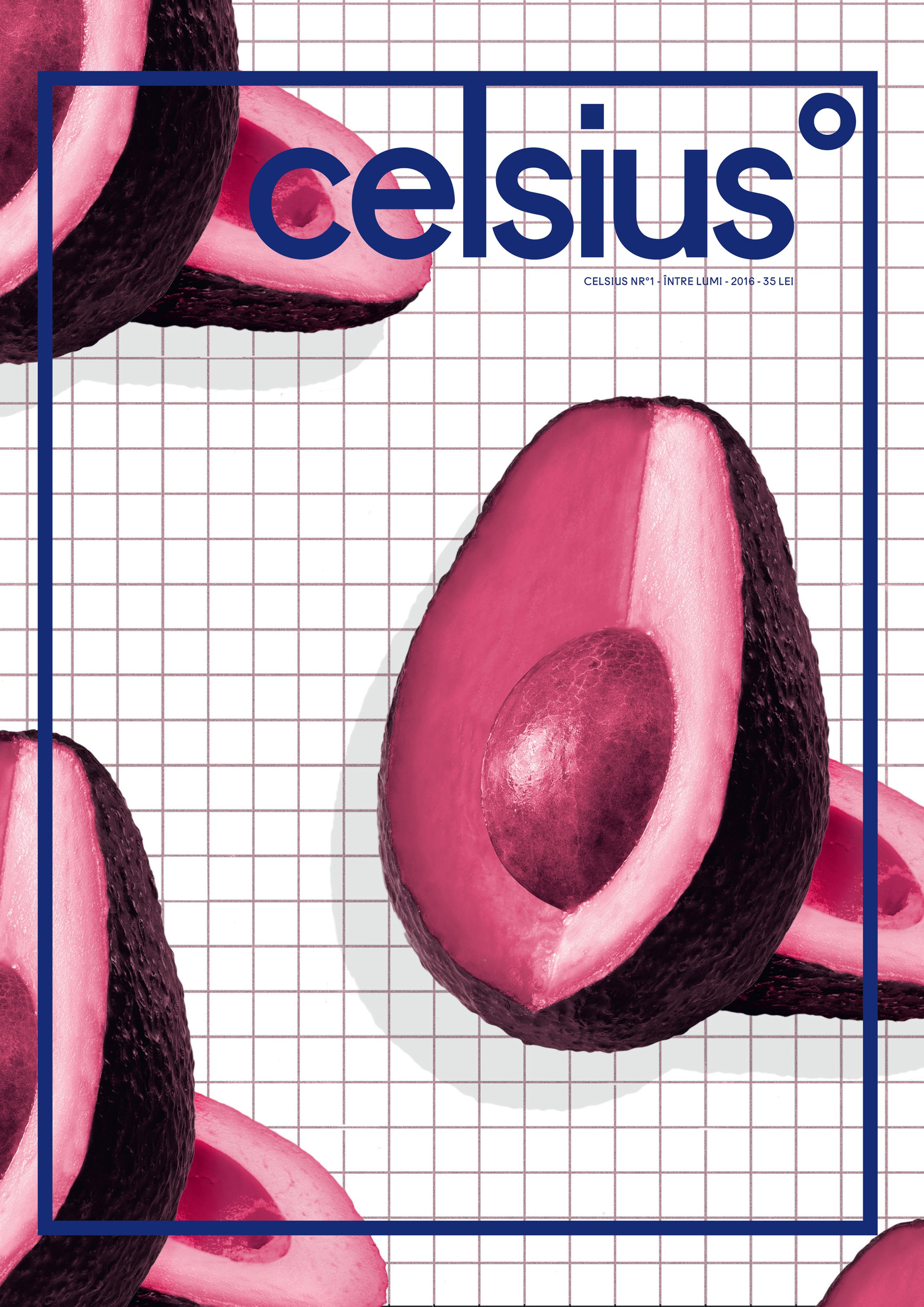 Carte Revista Celsius Nr. 1   editura Celsius Media