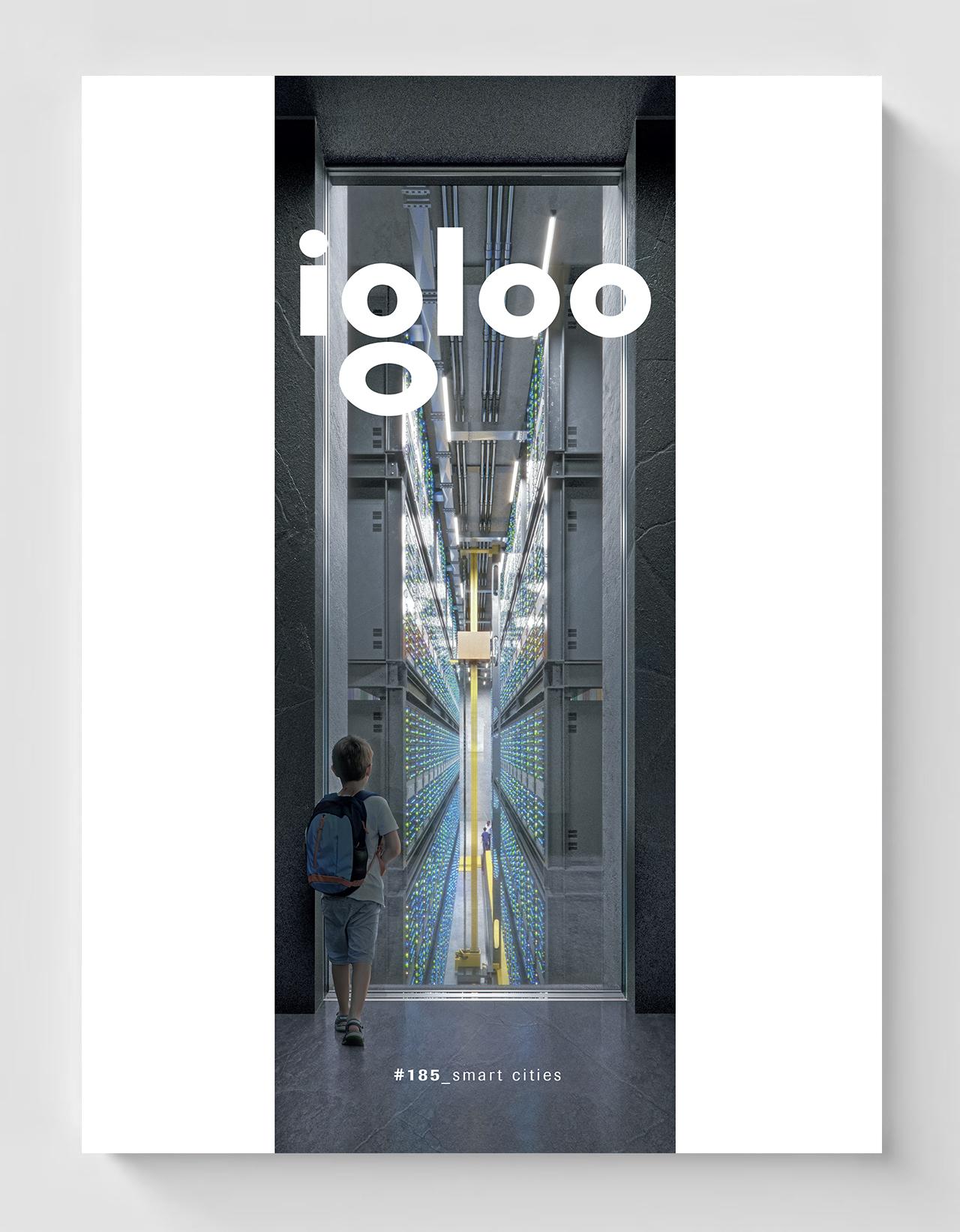 Carte Revista Igloo #185   editura Igloo Media