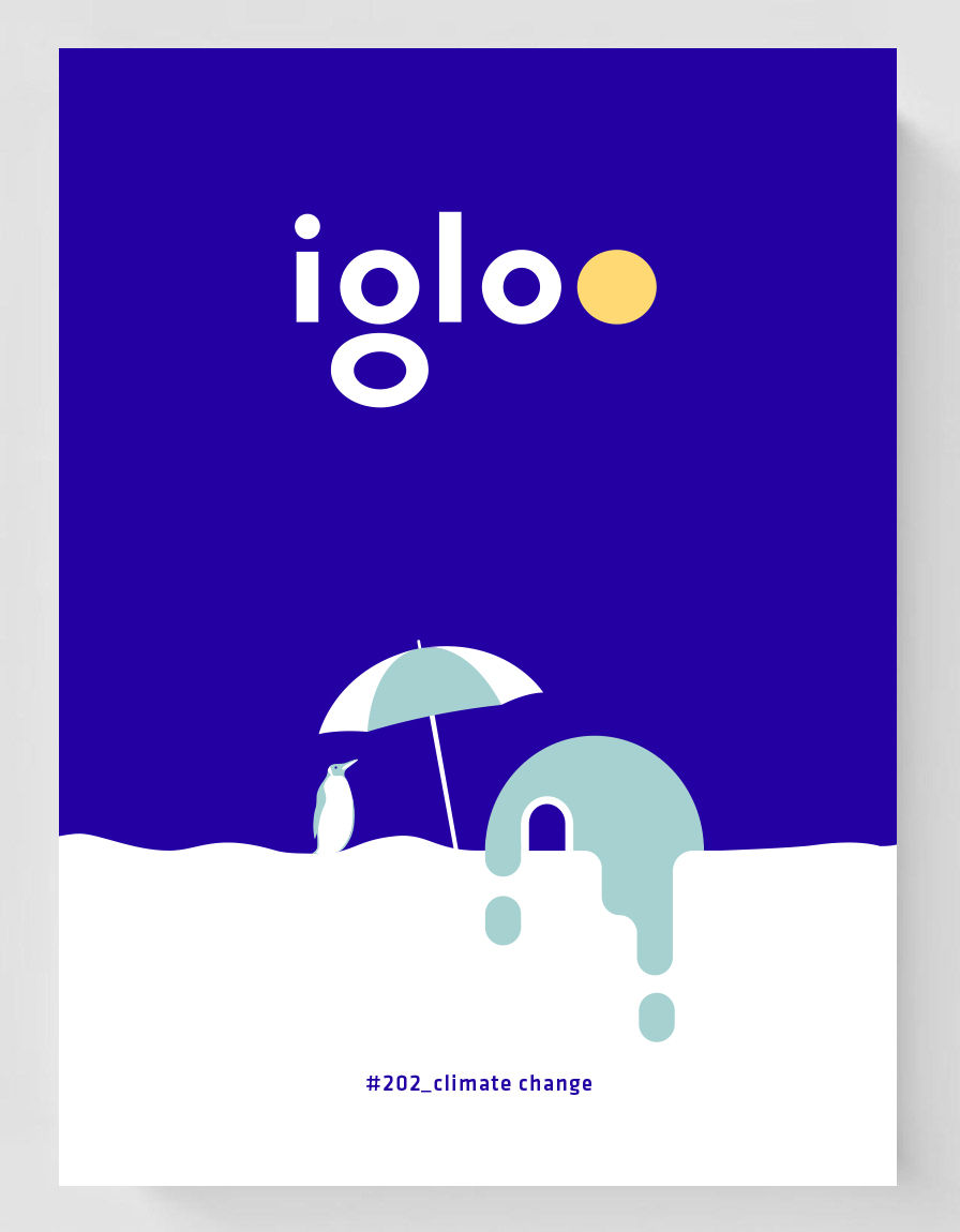 Carte Revista Igloo #202   editura Igloo Media