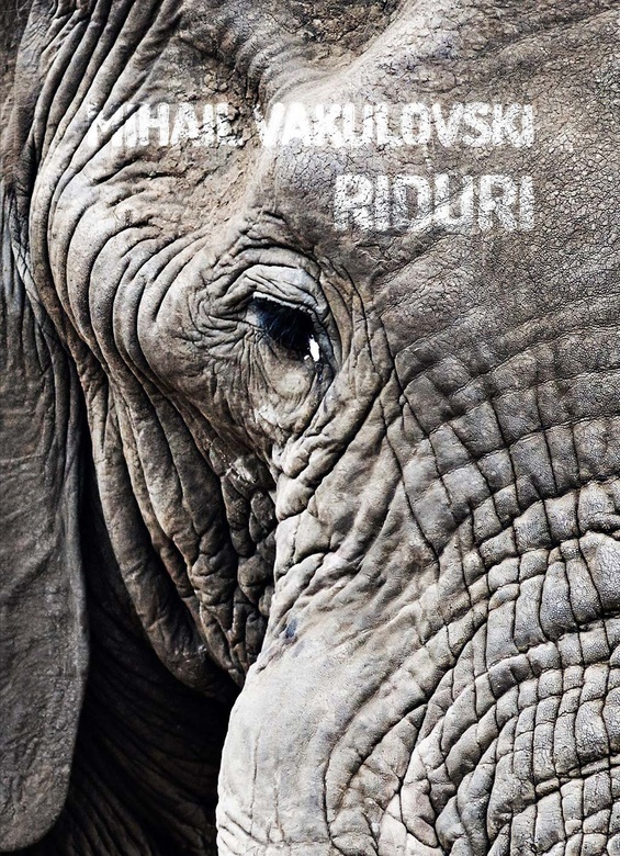 Carte Riduri autor Mihail Vakulovski editura Casa de Pariuri Literare