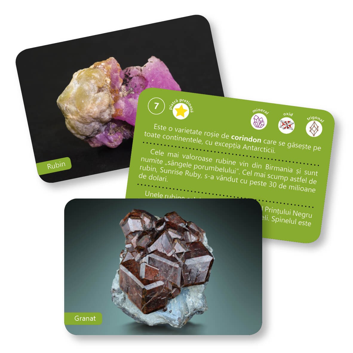 Carte Roci si minerale   editura Gama