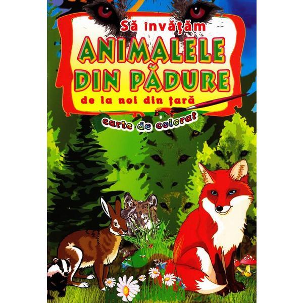 Carte Sa invatam animalele din padure de la noi din tara - Carte de colorat