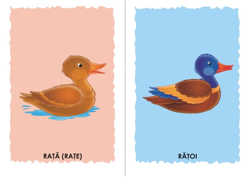 Carte Sa vorbim corect!   editura Tehno-Art