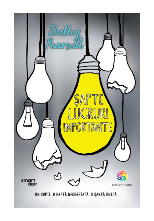 Carte Sapte lucruri importante editura Corint