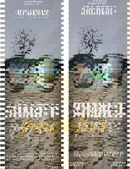 Carte Schimbare de perspectiva editura Scriptum