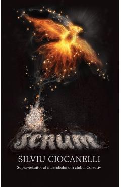 Carte Scrum - Silviu Ciocanelli editura Silviu Ciocanelli