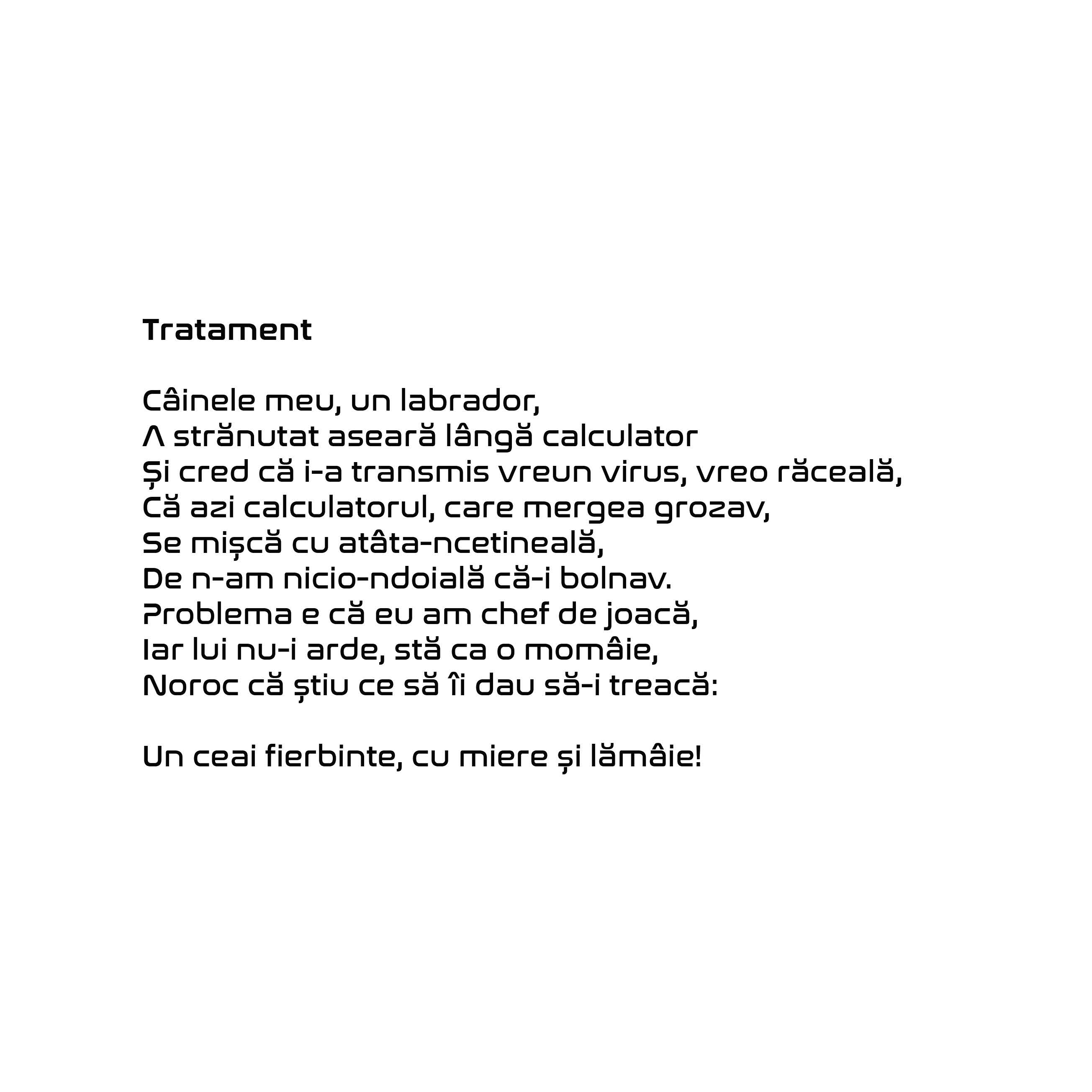 Carte Selfie cu elfii autor Carmen Tiderle editura Vellant