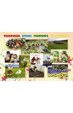 Carte Set Planse Anotimpuri editura -