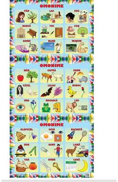 Carte Set planse Omonime (3 planse) editura -