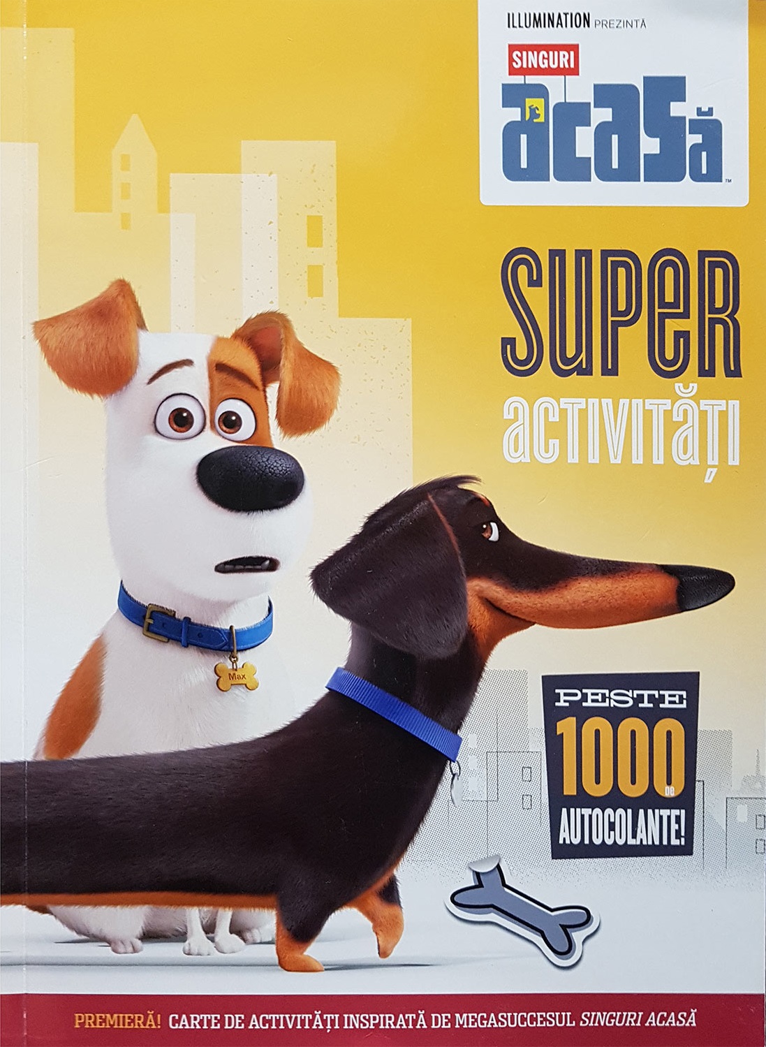 Carte Singuri acasa. Superactivitati. Peste 1000 de autocolante   editura Litera