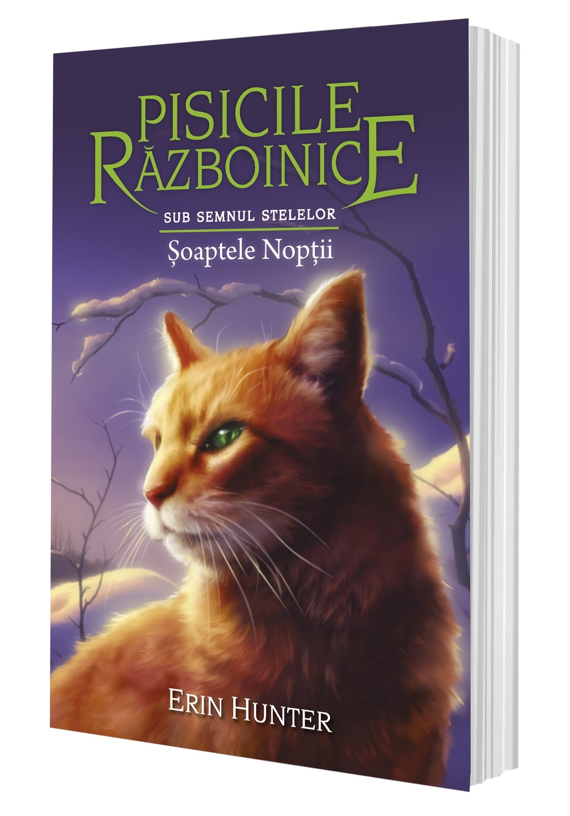 Carte Soaptele noptii autor Erin Hunter editura ALL