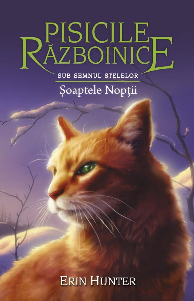 Carte Soaptele noptii. Seria Pisicile Razboinice Vol.21 editura Grupul All
