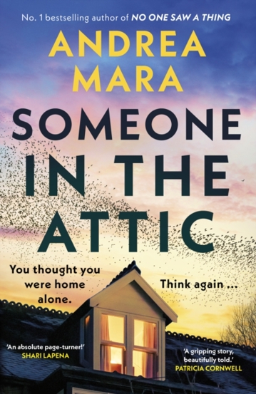 Carte Someone in the Attic editura SAS Gardners EU