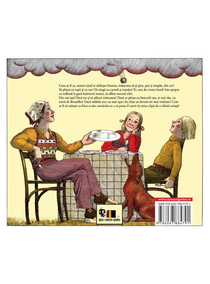 Carte Sta sa ploua cu chiftele autor Judi Barrett editura Arthur