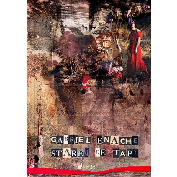Carte Starea de Fapt - Gabriel Enache