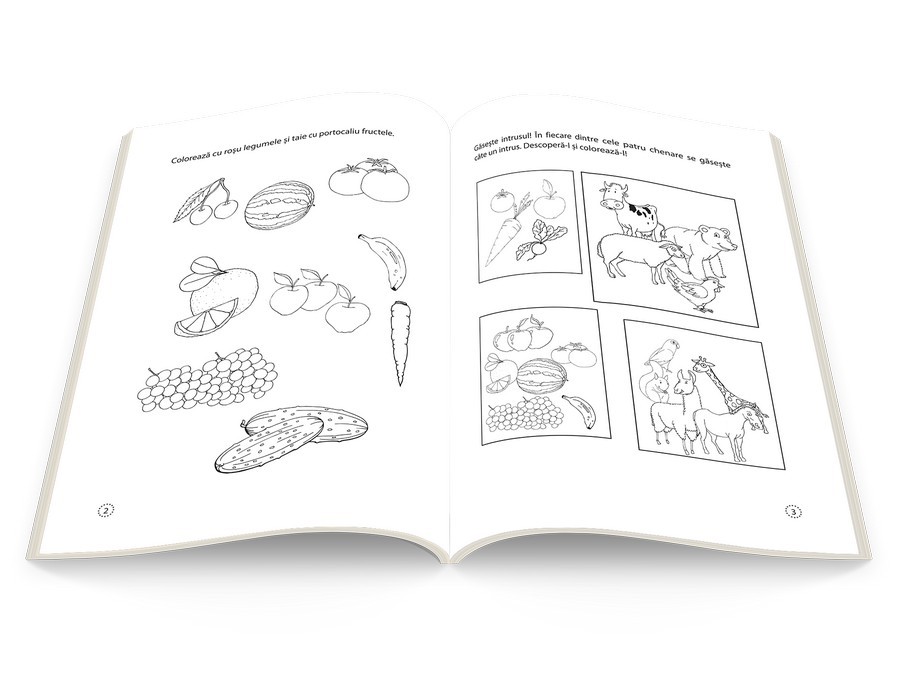 Carte Stiintele naturii   editura Gama