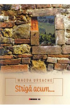 Carte Striga acum... - Magda Ursache editura Magda Ursache