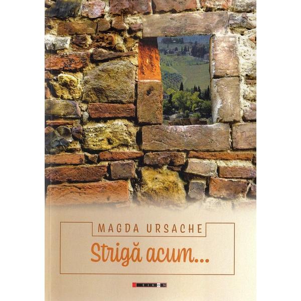 Carte Striga acum... - Magda Ursache
