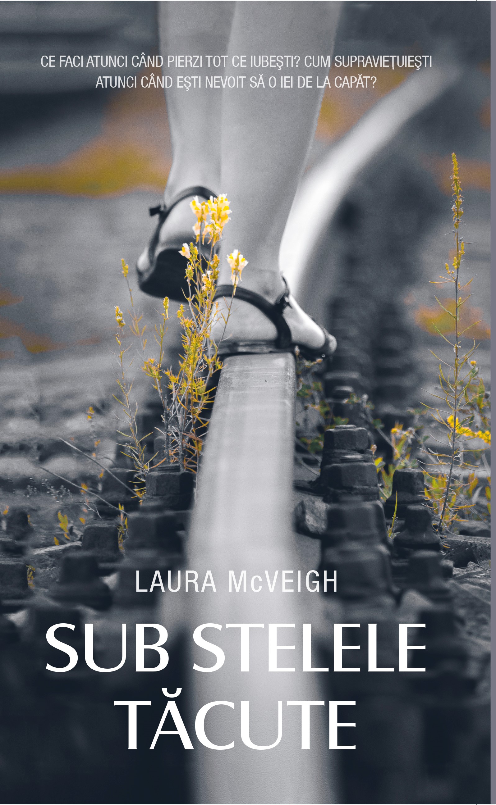 Carte Sub stelele tacute autor Laura McVeigh editura RAO