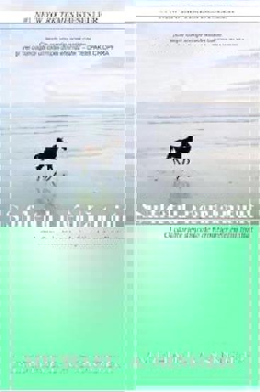 Carte Sufletul neînlănţuit editura Adevar Divin