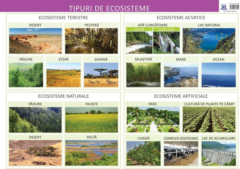 Carte Tipuri de ecosisteme editura DPH