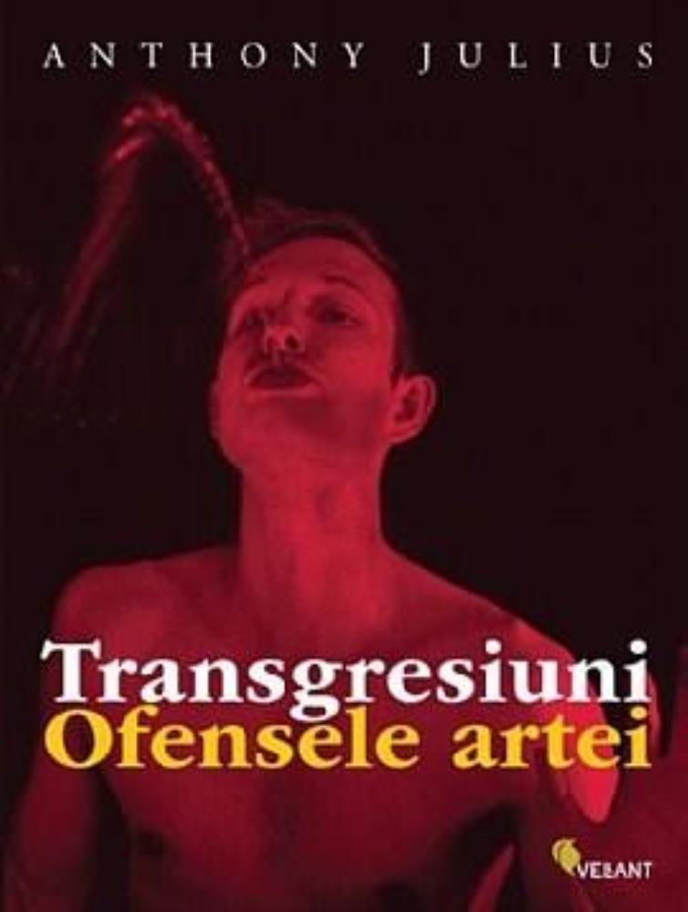 Carte Transgresiuni. Ofensele artei editura Vellant