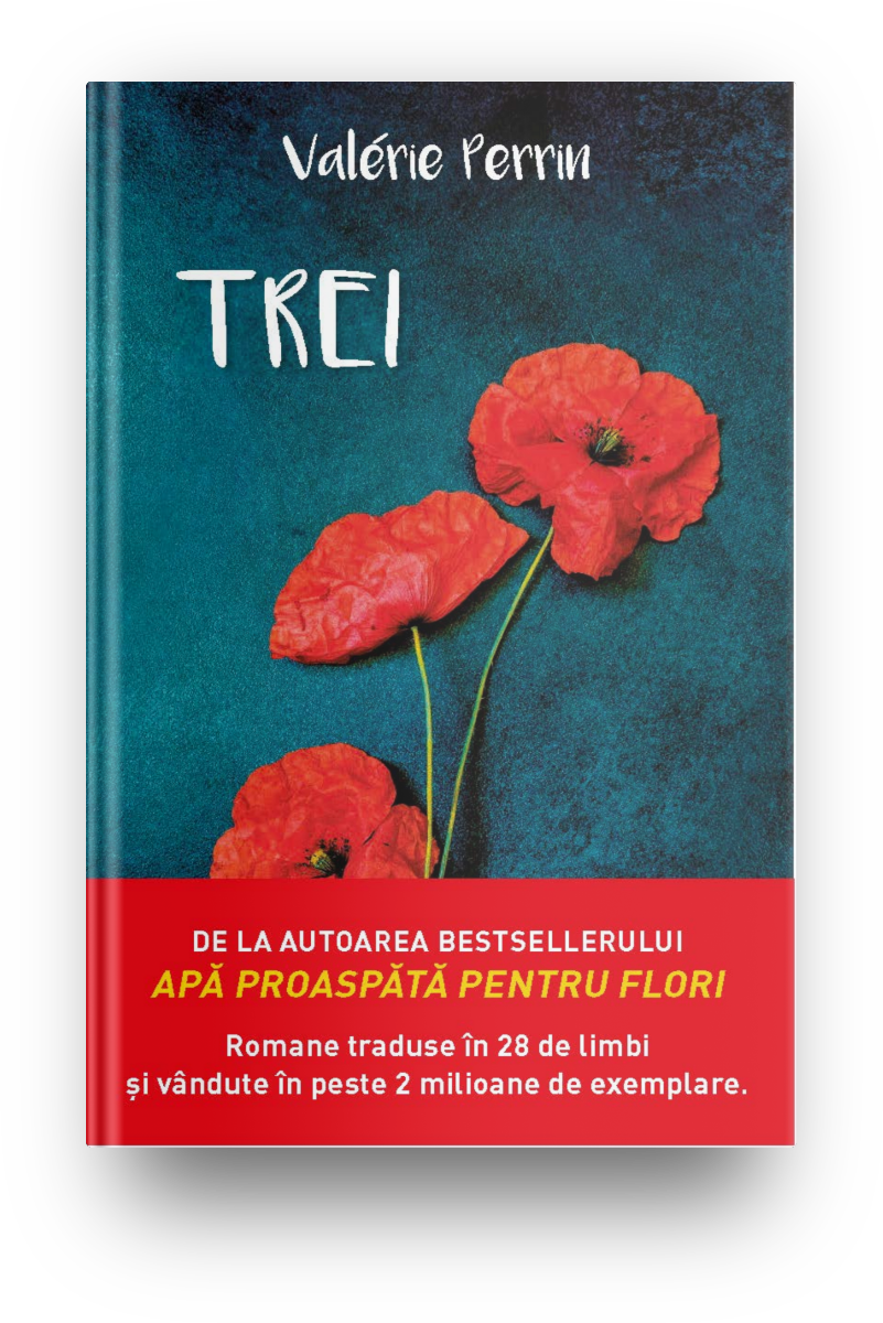 Carte Trei editura Litera