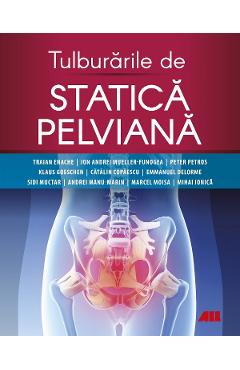 Carte Tulburarile de statistica pelviana - Traian Enache
