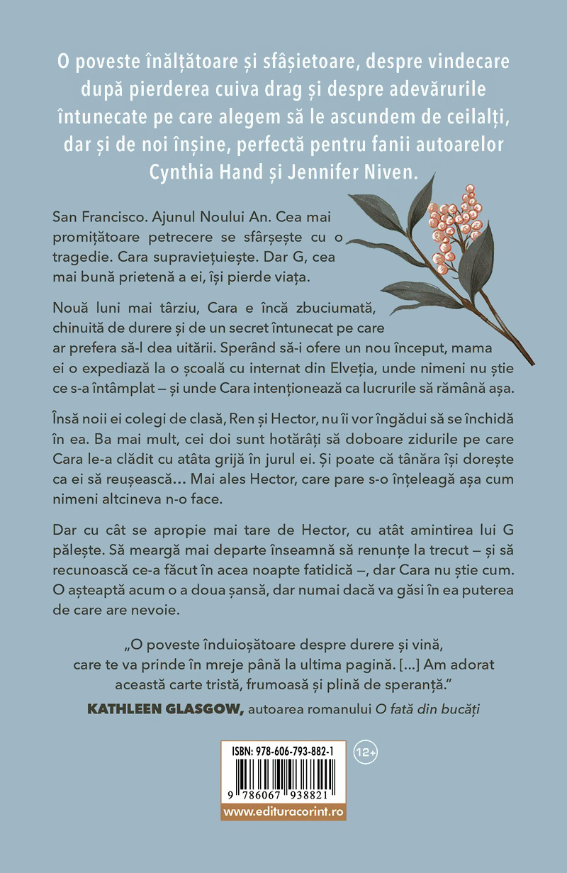 Carte Un an fara tine autor Nina de Pass editura Corint