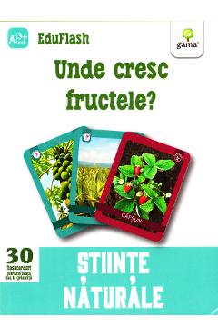 Carte Unde cresc fructele? 3 ani+ (Eduflash) editura -
