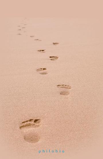 Carte Urme pe nisip editura Philobia