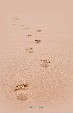 Carte Urme pe nisip - Anne Dauphine Julliand editura Anne Dauphine Julliand