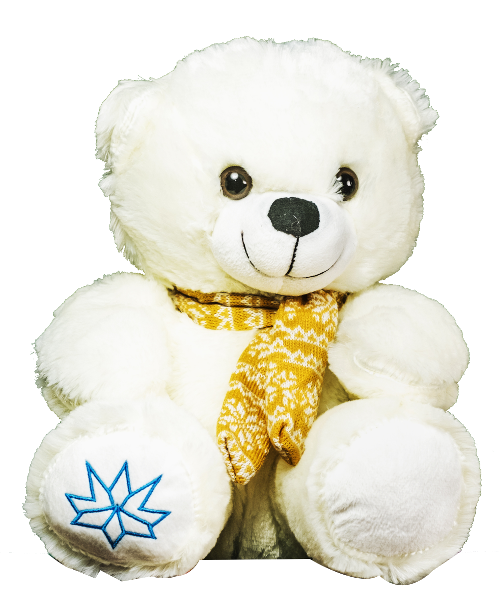 Carte Urs plus 30 cm editura Litera