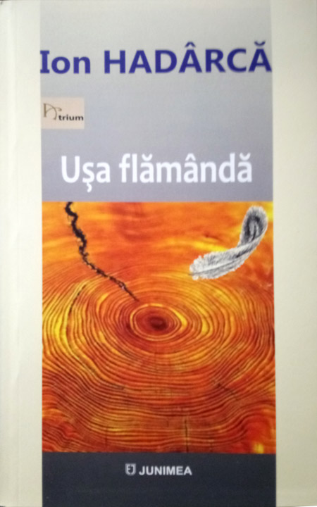 Carte Usa flamanda autor Ion Hadarca editura Junimea