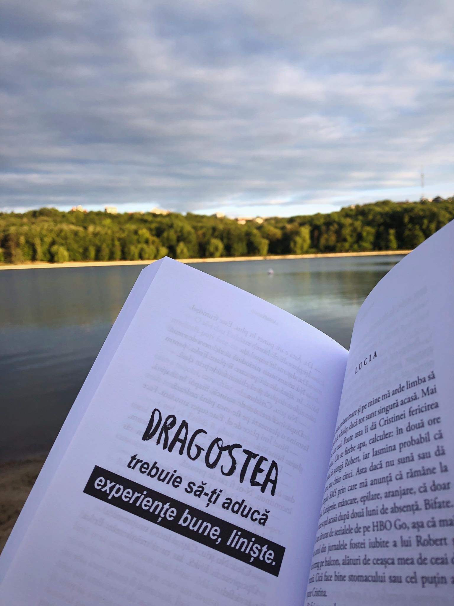 Carte Valuri autor Arina Delcea editura Bestseller