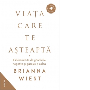 Carte Viata care te asteapta Autori Brianna Wiest