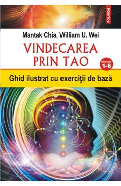 Carte Vindecarea prin Tao. Nivelurile 1-6 - Mantak Chia