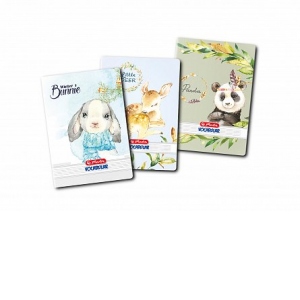 Carte Vocabular 24 file