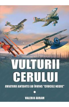Carte Vulturii cerului - Valeriu Avram editura Valeriu Avram