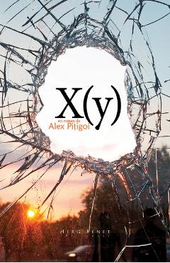 Carte X (y) - Alex Pitigoi editura Alex Pitigoi